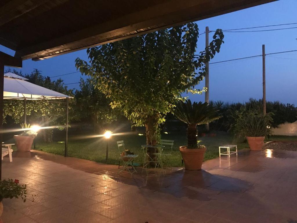 Terre Del Faro Daire Scanzano Jonico Dış mekan fotoğraf