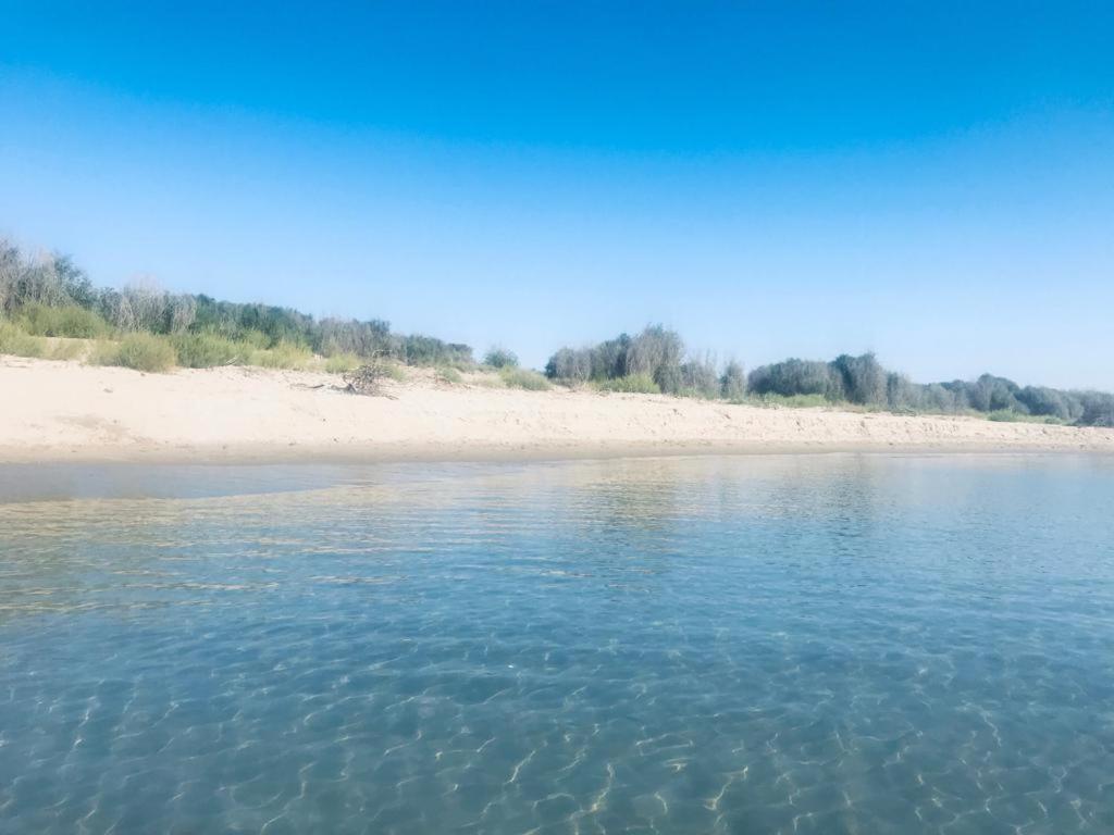 Terre Del Faro Daire Scanzano Jonico Dış mekan fotoğraf